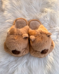 Cute Capybara Cartoon Fluffy Animal House Slippers